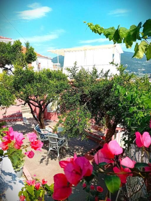 Duka'S Gardenhouse Villa Skopelos Eksteriør billede
